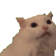 a pixelated image of a cat with the word igc written on its face .