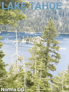 Lake Tahoe GIF - Lake Tahoe GIFs