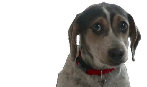 Puppy Dog Sticker - Puppy Dog Lost Stickers