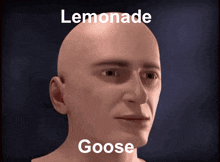 Lemonadegoose GIF - Lemonadegoose GIFs