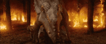 a dinosaur is standing in the middle of a forest on fire