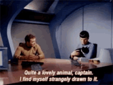 Spock Star Trek GIF - Spock Star Trek Kirk GIFs