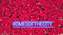 Romeo Rj GIF - Romeo Rj Romeoofthecity GIFs