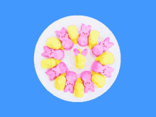 a circle of pink and yellow peeps on a blue background