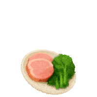 a plate of meat and broccoli with a white background