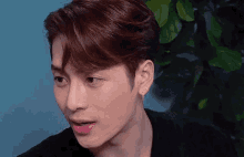 a close up of a young man 's face with a plant in the background .