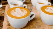 four cups of coffee with a leaf design on the foam