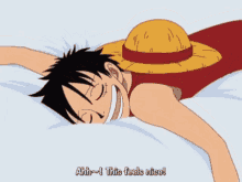 นอน Luffy GIF - นอน Luffy One Piece GIFs