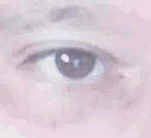 Eye Stare GIF - Eye Stare Blink GIFs