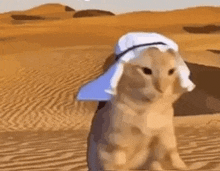 a cat wearing a turban and a hat is sitting in the desert .