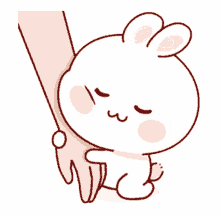 cute bunny hand cuddle feeling relaxed