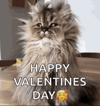 Funny Valentines Day GIFs | Tenor