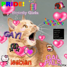 Lesbian Gay GIF - Lesbian Gay GIFs