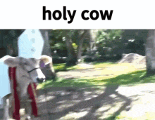Holy Cow Meme GIF