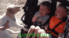 Koza Fun GIF - Koza Fun Koupiskozu GIFs