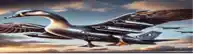 a painting of a duck that looks like an airplane with missiles on its wings