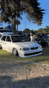 a white car is parked in a parking lot next to a tree with tiktok written on it