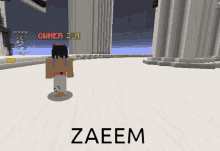 Zeze Zaeem GIF - Zeze Zaeem Shacootp GIFs