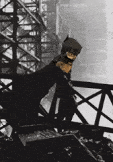 Batcat Meme GIF