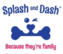 Splash And Dash For Dogs GIF
