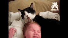 Cat Gives Baby A Tongue Bath GIF