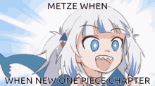 Metze One Piece GIF - Metze One Piece One GIFs