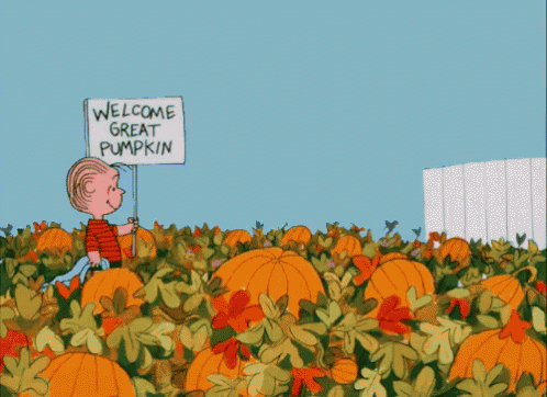 Pumpkin Patch GIFs | Tenor Pumpkin Patch GIFs | Tenor