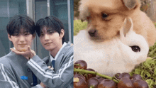 two boys are hugging each other next to a dog and a bunch of grapes