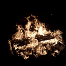 Fire Campfire GIF - Fire Campfire Pretty Fire GIFs