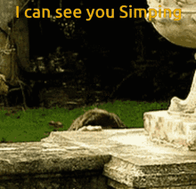 See You Simping Simp GIF - See You Simping Simp Simping GIFs