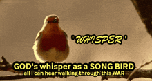 a picture of a bird with the words god 's whisper as a song bird all i can hear walking through this war below it