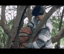 a man is holding a woman in a tree while they are having sex .