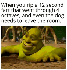 shrek - Meme by Biellx777 :) Memedroid