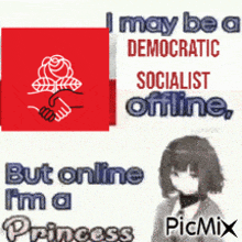 a poster that says " i may be a democratic socialist offline but online i 'm a princess picmix "