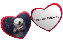 Rosa The Sea Otter GIF - Rosa The Sea Otter GIFs