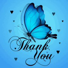 Thank You Butterfly GIF - Thank You Butterfly Blue GIFs