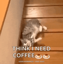need coffee good morning lol the struggle is real cat