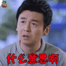 什么意思，雷佳音，大头 GIF - What Do You Mean Lei Jia Yin Big Head GIFs