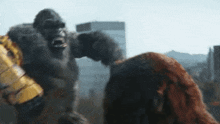 Godzilla X Kong The New Empire King Kong GIF