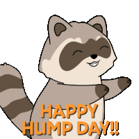 a cartoon raccoon says " happy hump day " in orange letters