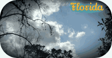 florida sky clouds timelapse humanharvest407