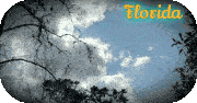 Florida Sky Sticker - Florida Sky Clouds Stickers
