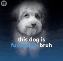 This Dog Is Fucked Up Bruh GIF - This Dog Is Fucked Up Bruh GIFs