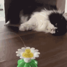 Lazy Watching GIF - Lazy Watching Dont Care GIFs