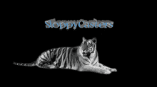Sloppycasters Tiger GIF - Sloppycasters Tiger GIFs