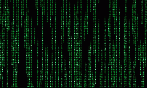 The Matrix GIF  Find  Share on GIPHY  Matrix Animation in photoshop Code  wallpaper
