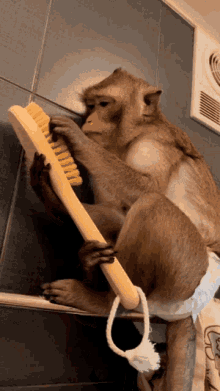 Monkey Brush GIF