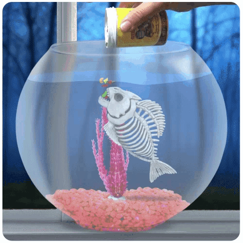 fish-skeleton-fish-bowl.gif
