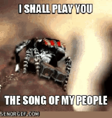 Spider Song GIF