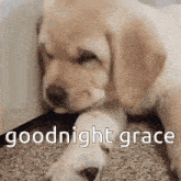 Goodnight Grace GIF - Goodnight Grace GIFs